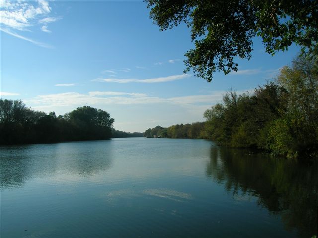 LES MULETS « A LA ROUMAGNOLE »