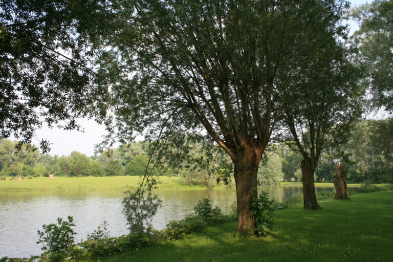 img 0149