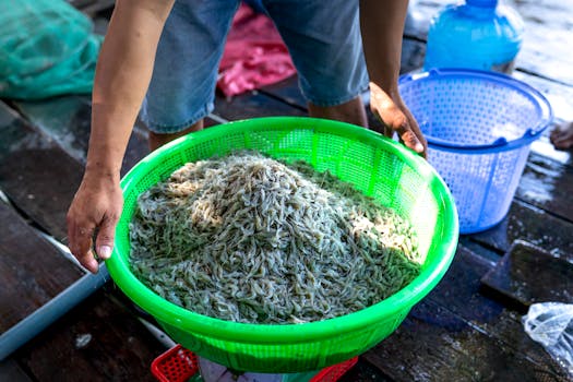 A person holds a green sieve full of freshly caught shrimp on a wooden deck outdoors.