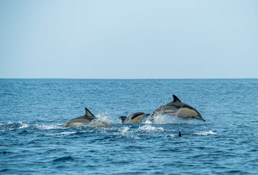 A group of dolphins joyfully leaping through the ocean waves under a clear blue sky.